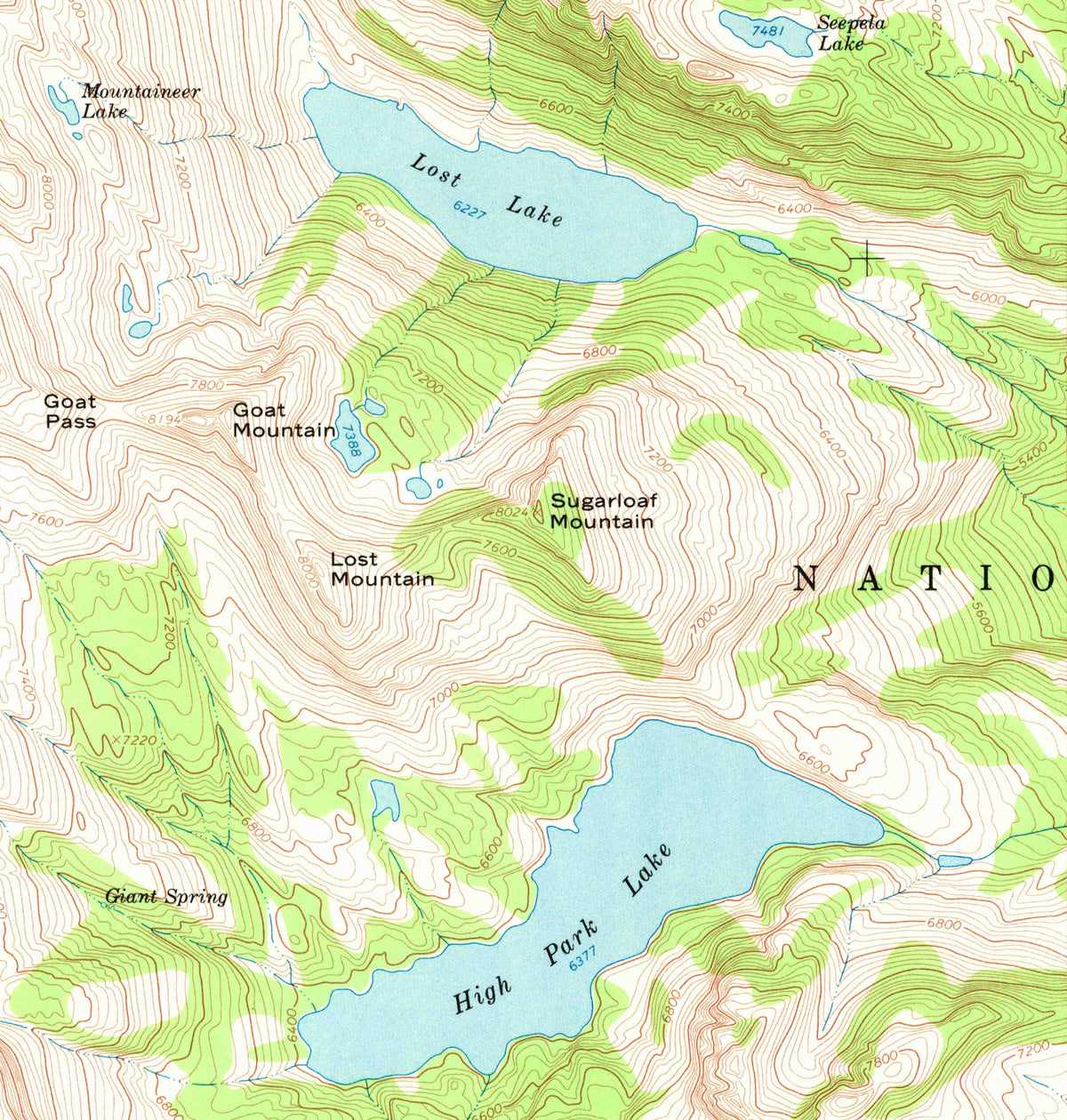 Gray Wolf Women's Athletic Short Shorts