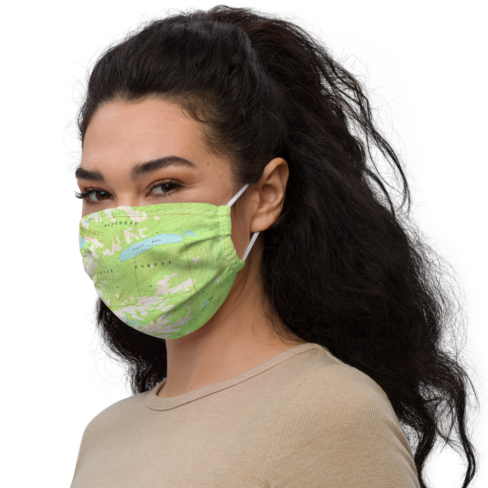Gray Wolf Premium Face Mask
