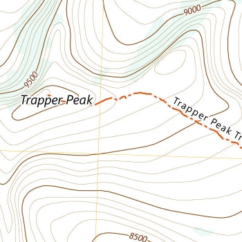 Trapper Peak Toposphere Treeline Hoodie