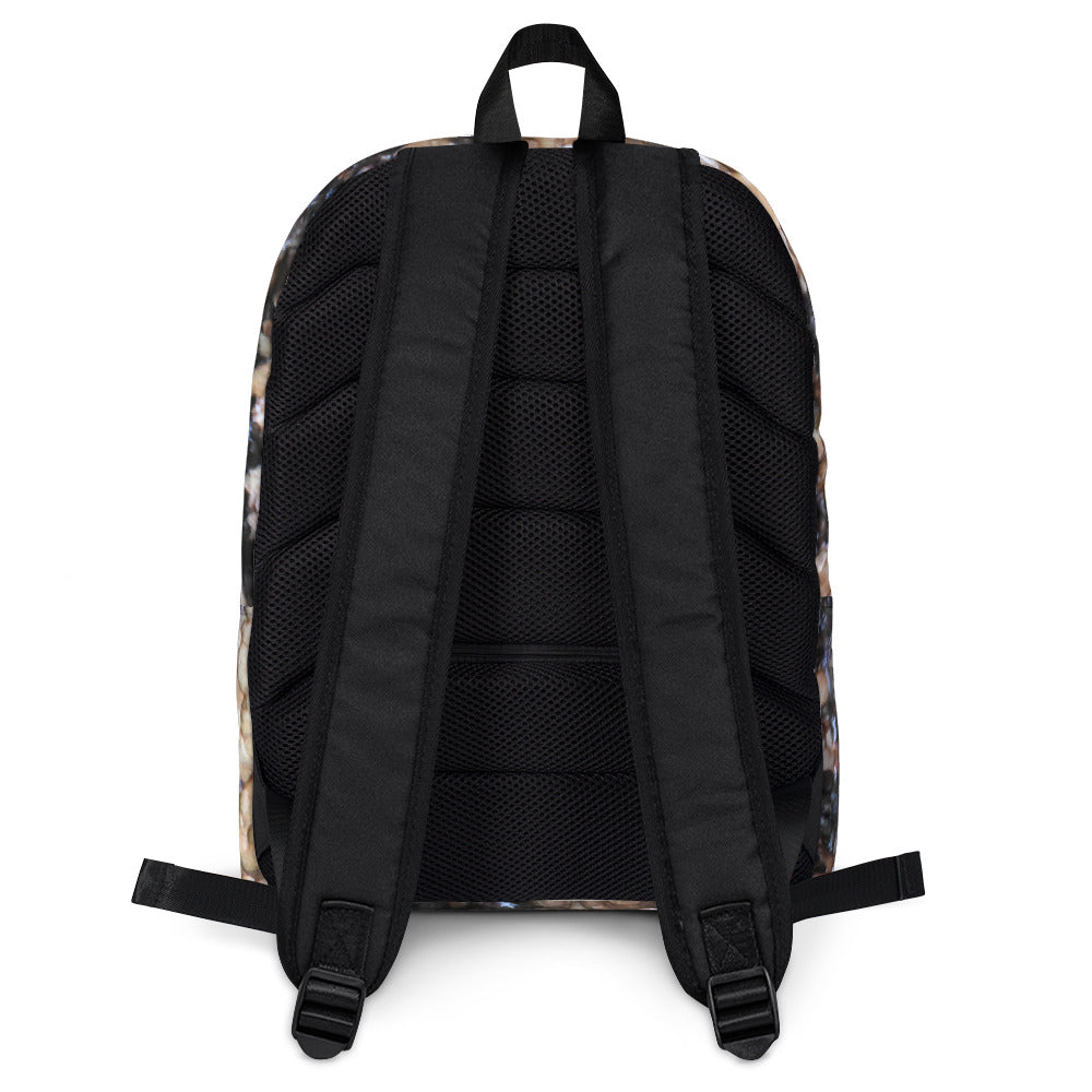 Black Ponderosa Backpack