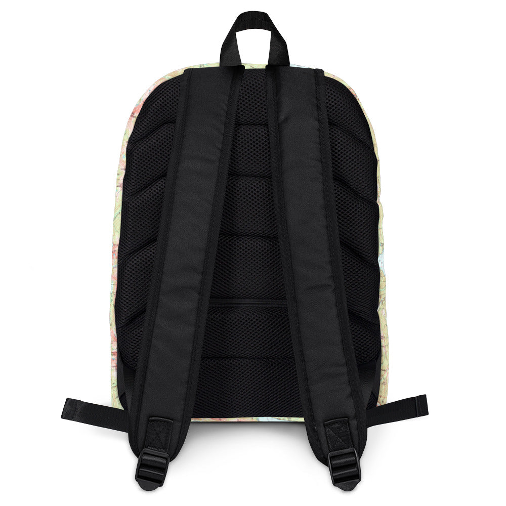 Lake McDonald Backpack