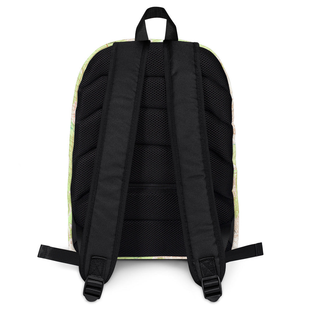 Absaroka Beartooth Backpack