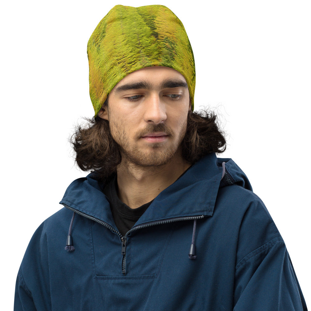 Pattee Patches Beanie
