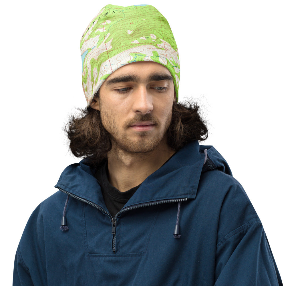 Gray Wolf  Beanie