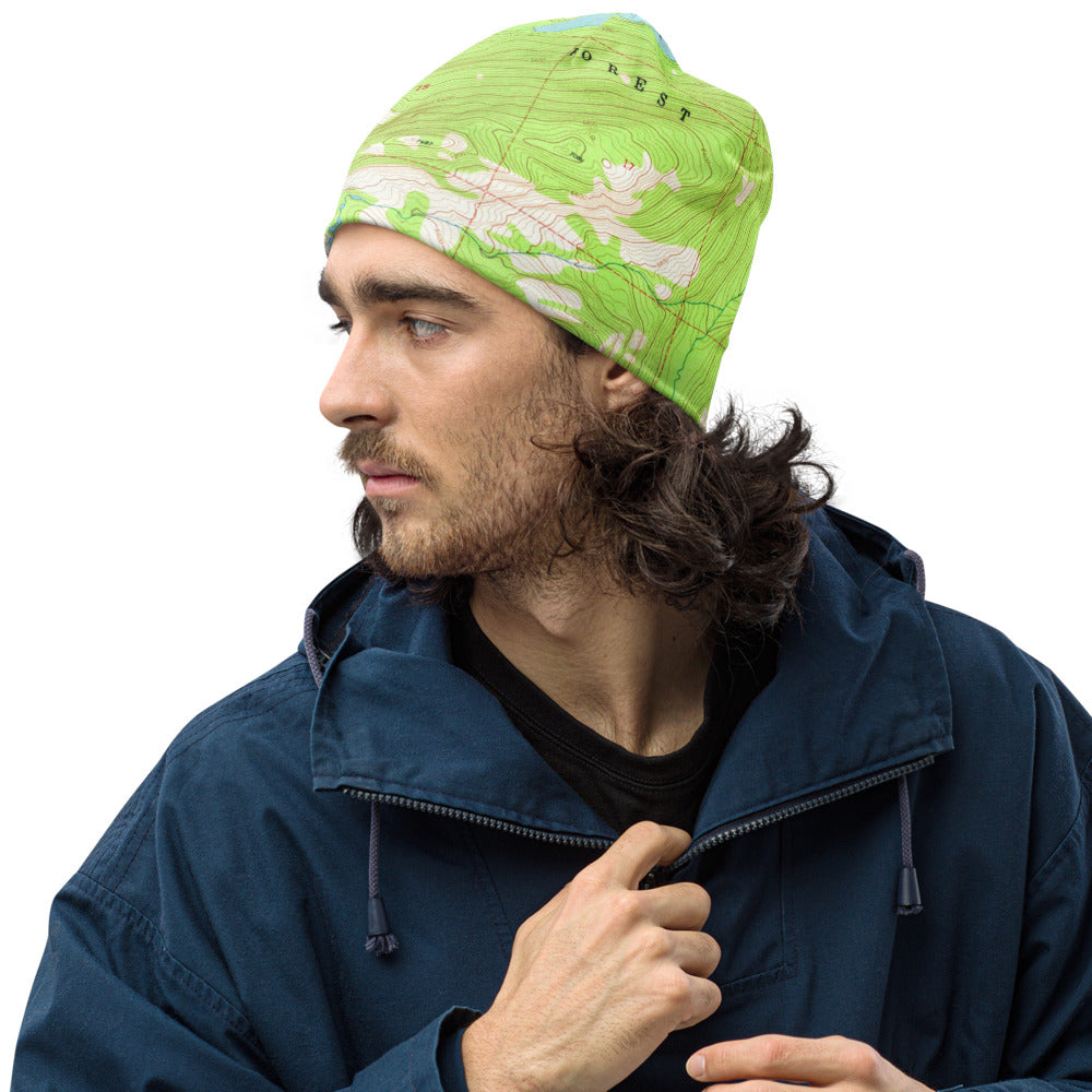 Gray Wolf  Beanie