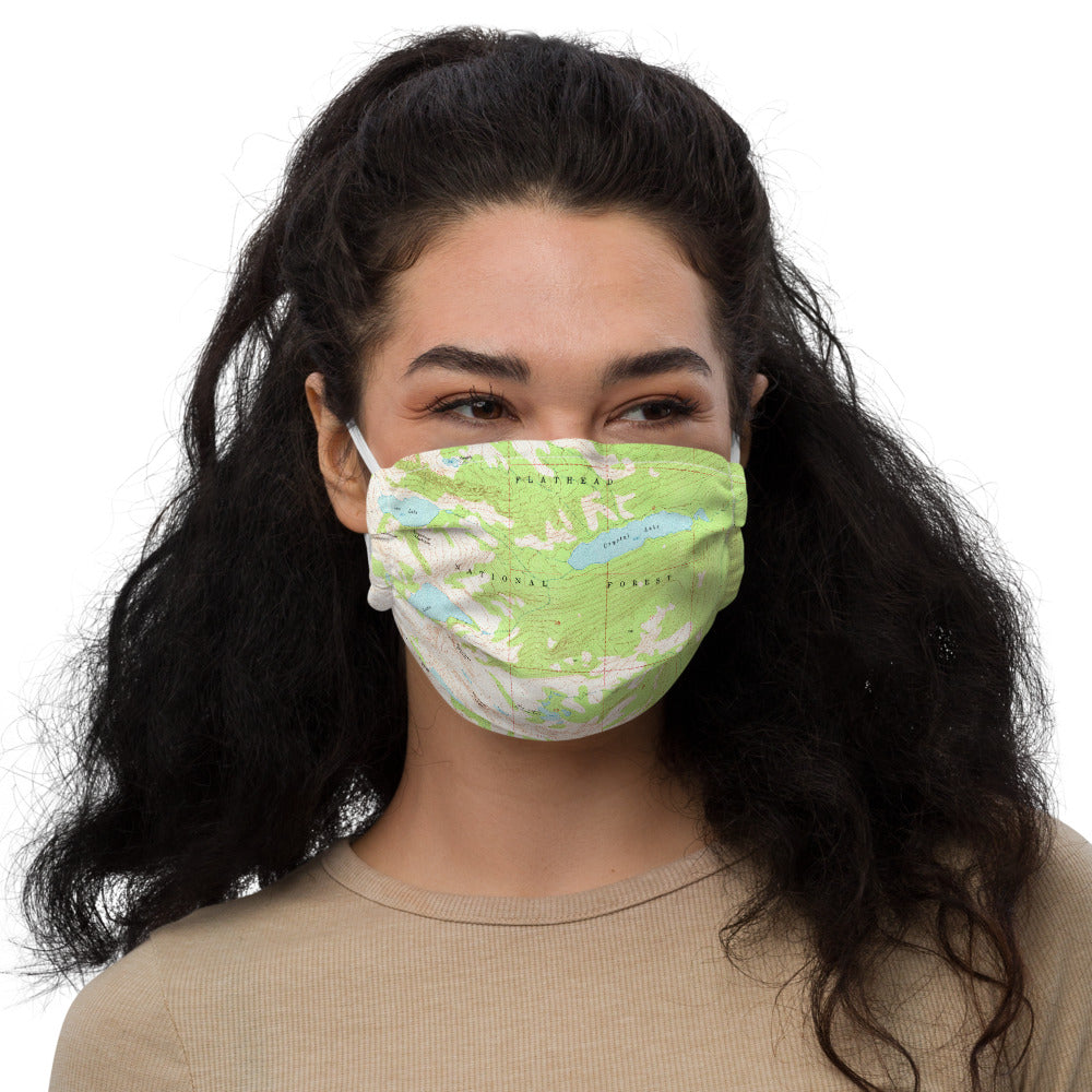 Gray Wolf Premium Face Mask