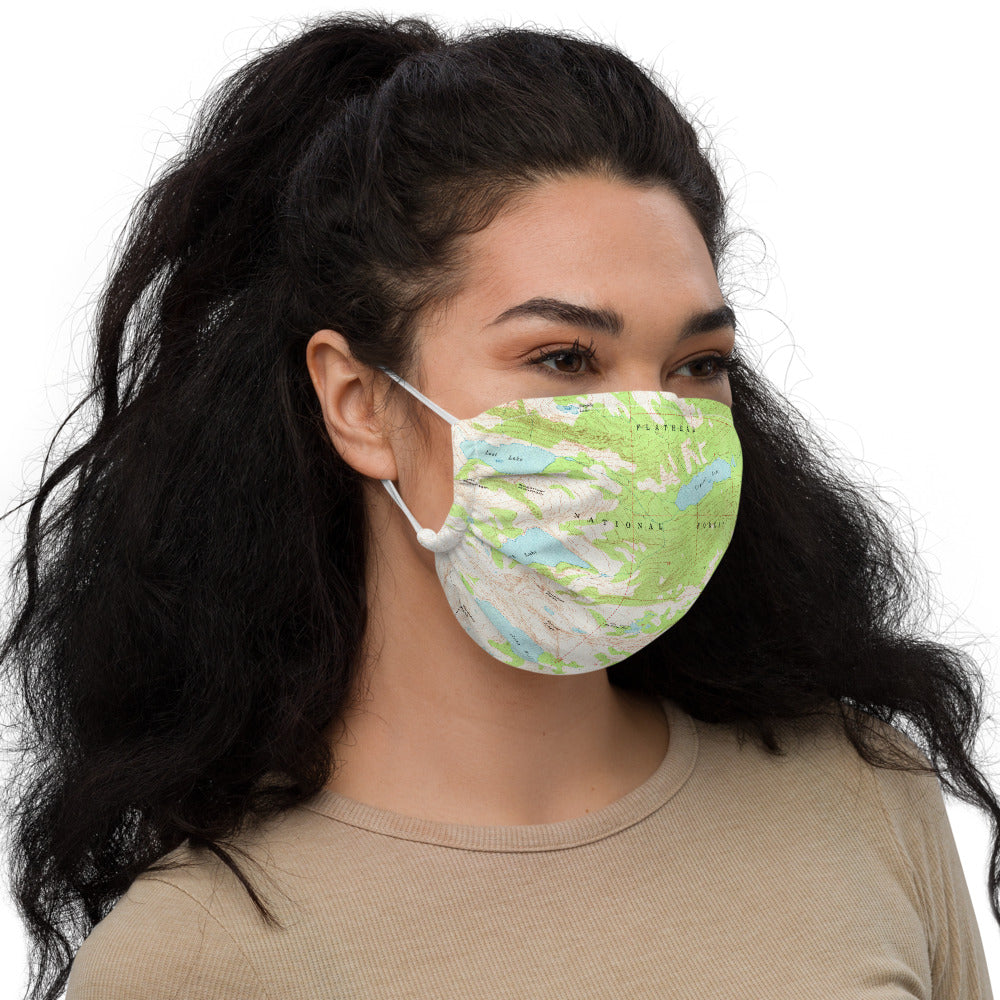 Gray Wolf Premium Face Mask