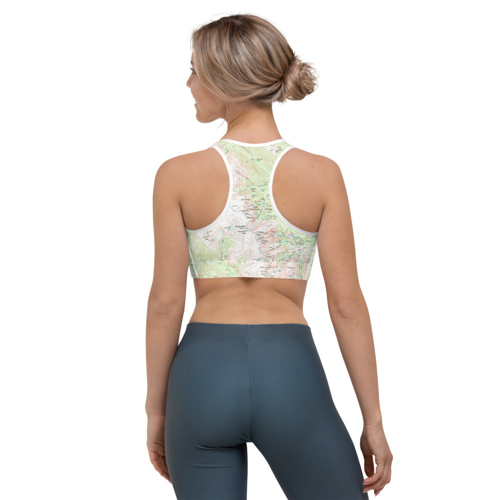 Longs Peak Sports Bra