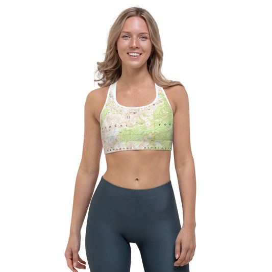 Absaroka Beartooth Sports Bra