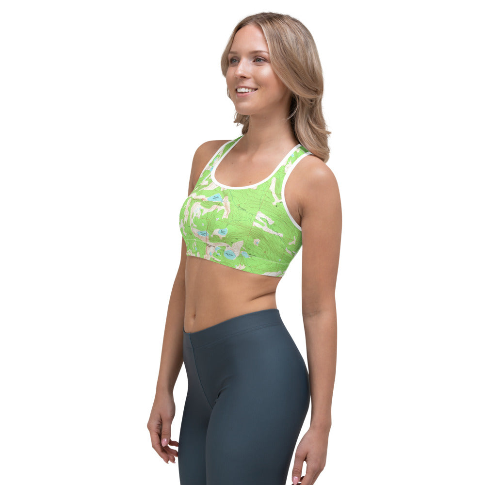 Rattlesnake Wilderness Sports Bra