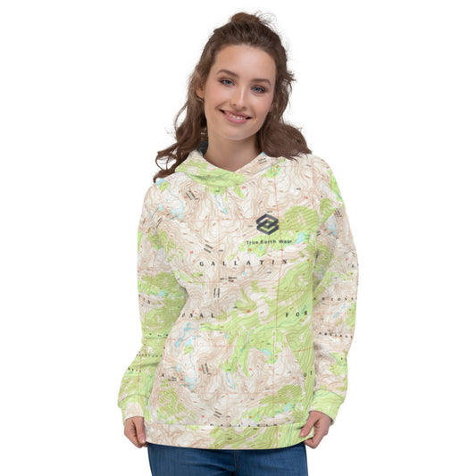 Absaroka Beartooth Treeline Hoodie