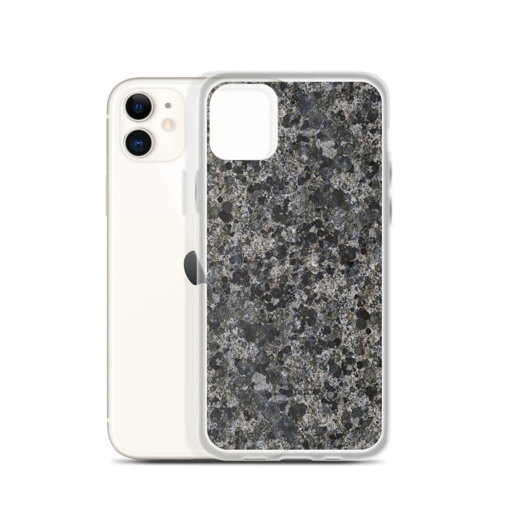 Take a Lichen iPhone Case
