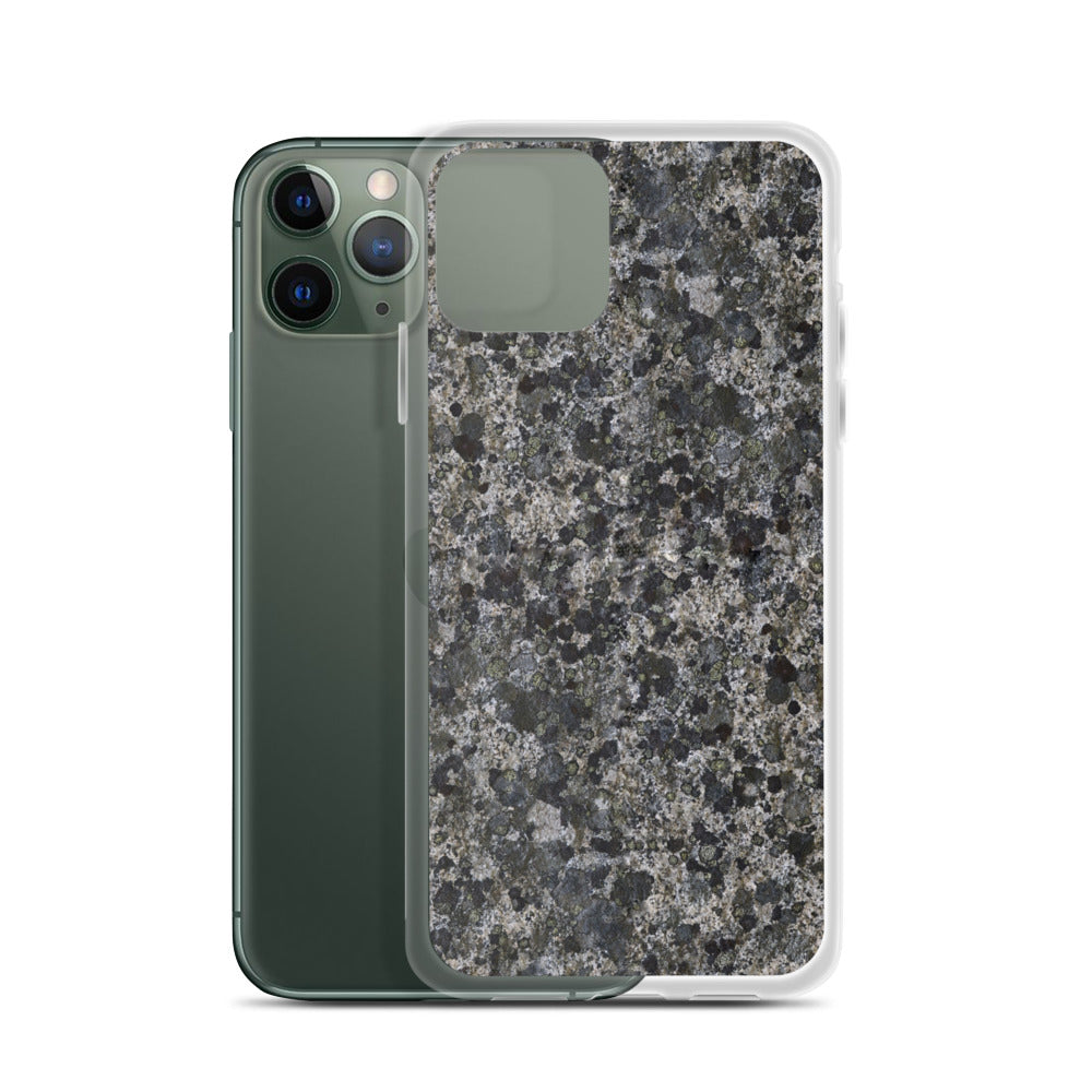 Take a Lichen iPhone Case