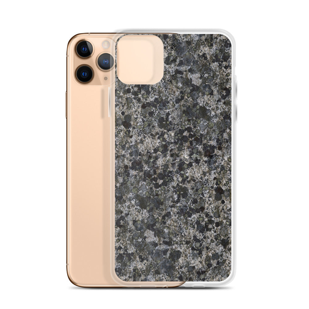 Take a Lichen iPhone Case