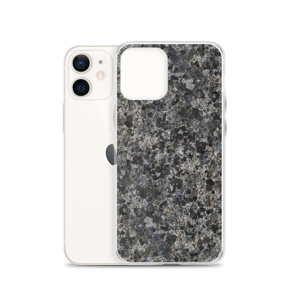 Take a Lichen iPhone Case