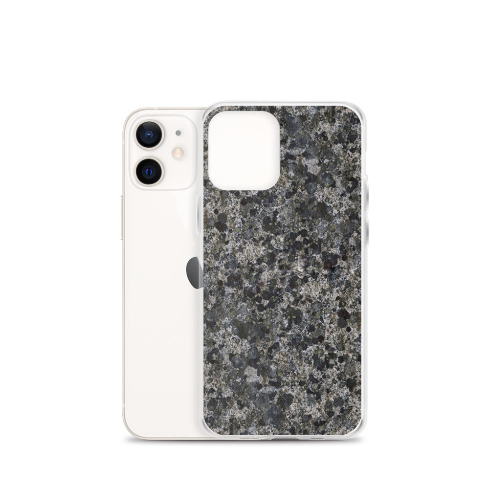 Take a Lichen iPhone Case