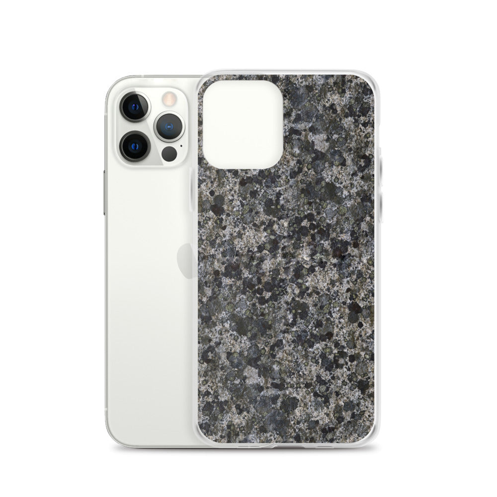 Take a Lichen iPhone Case