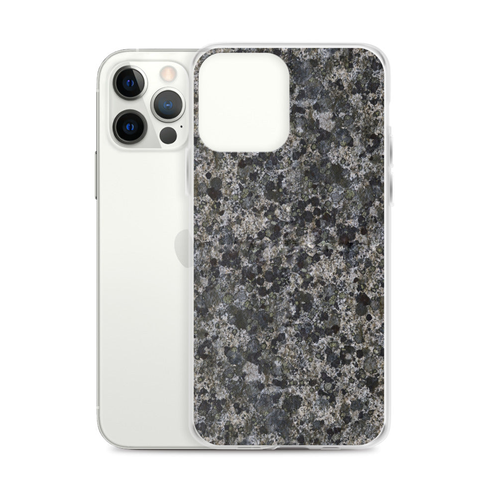 Take a Lichen iPhone Case