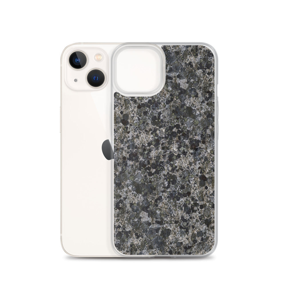 Take a Lichen iPhone Case