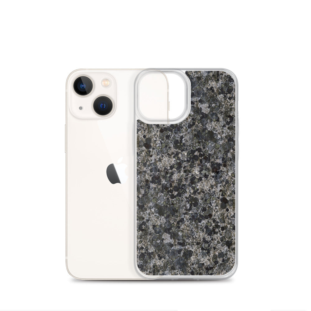 Take a Lichen iPhone Case