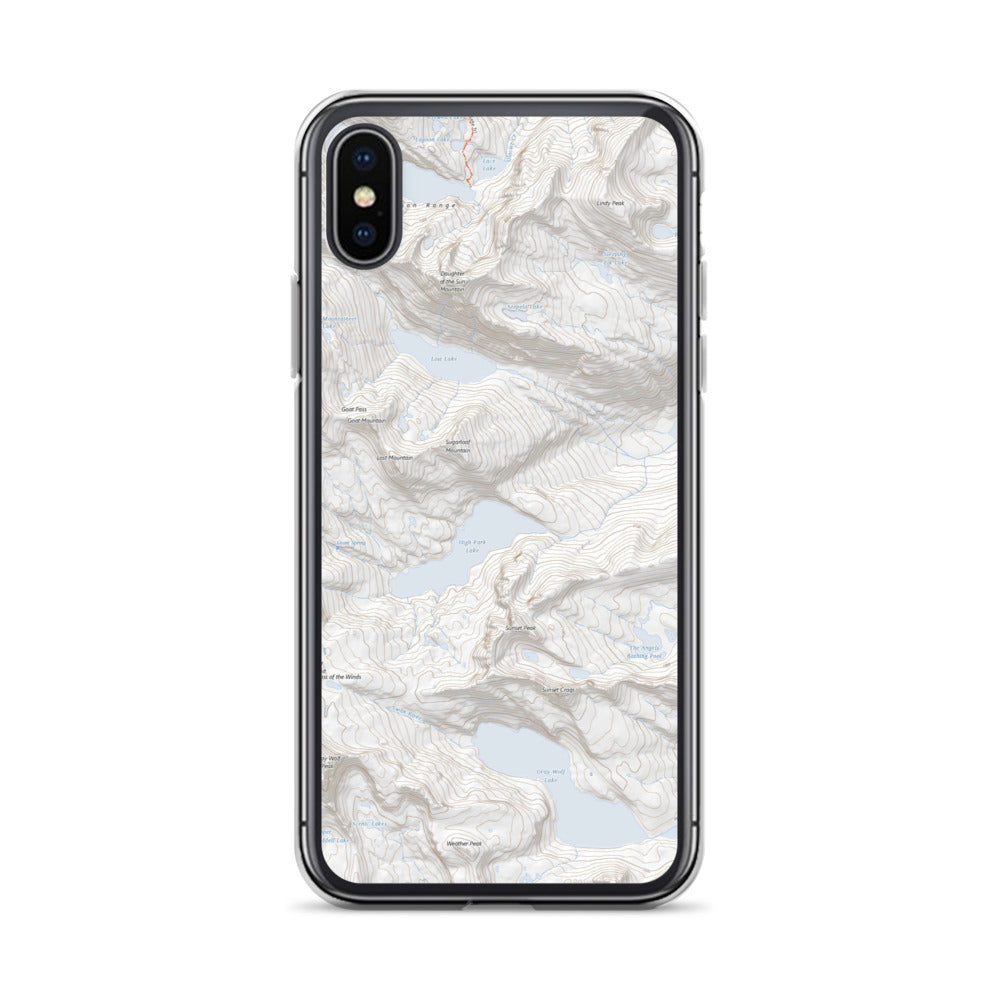 Gray Wolf iPhone Case