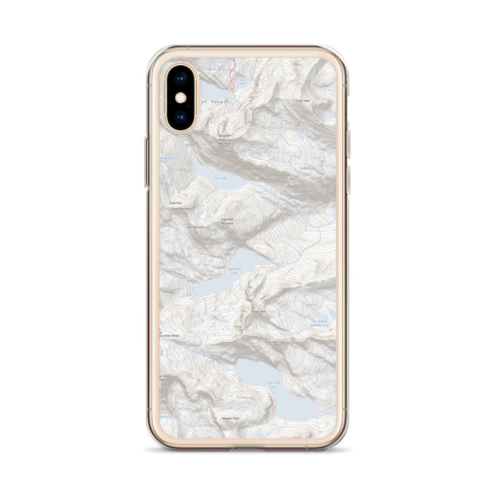 Gray Wolf iPhone Case