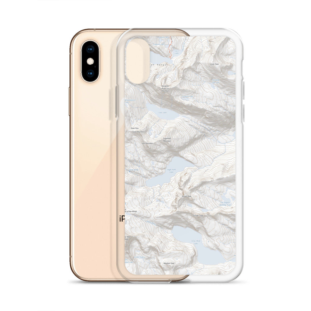 Gray Wolf iPhone Case