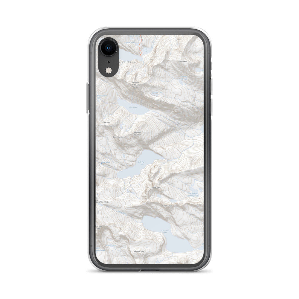 Gray Wolf iPhone Case