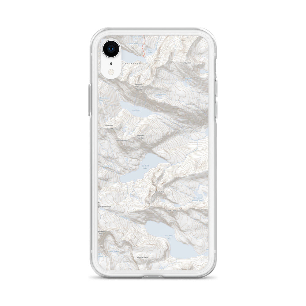 Gray Wolf iPhone Case
