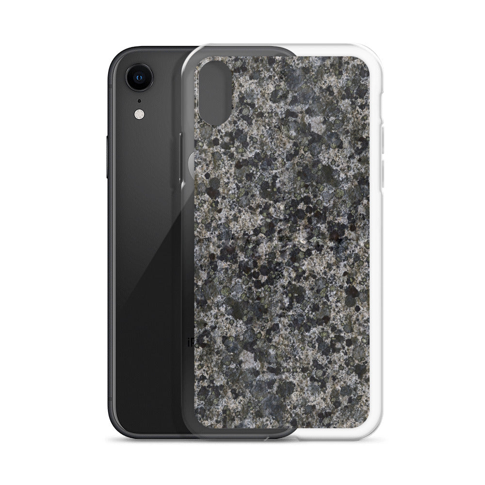 Take a Lichen iPhone Case