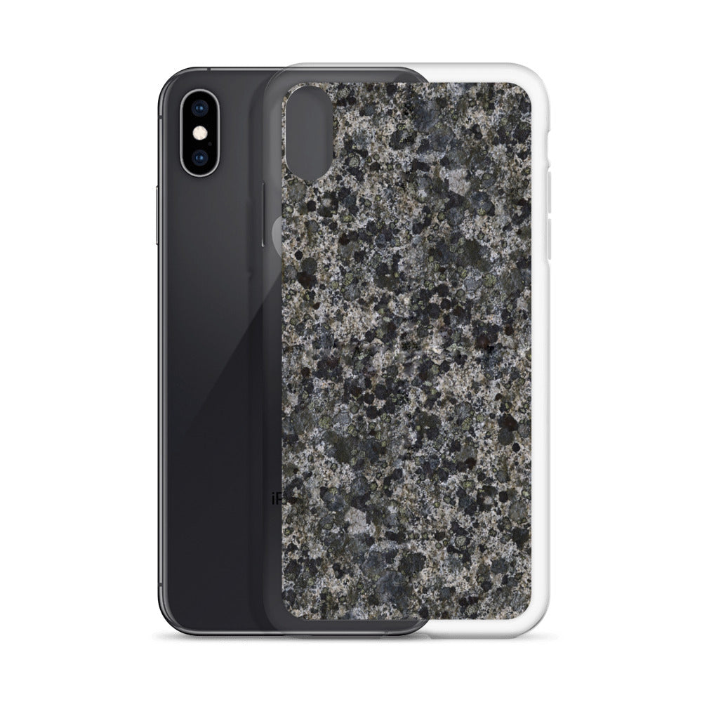 Take a Lichen iPhone Case