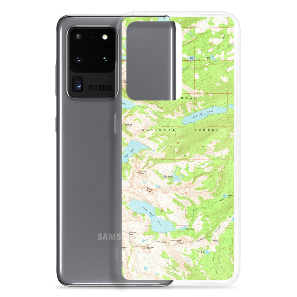 Gray Wolf Samsung Case